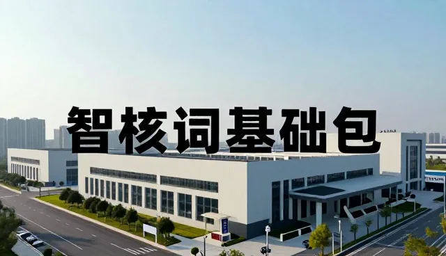 开发者工具使用中如何高效总结提示词？