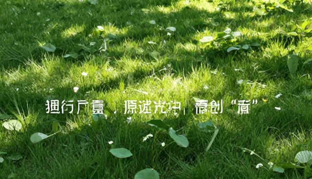 图片提示词一键生成器的误区澄清与检查要点