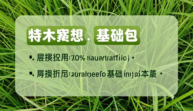 行程安排提示词使用中的理解偏差与正确应用
