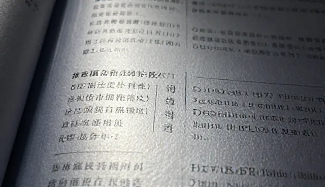 prompt动词用法对生成结果的影响原因分析