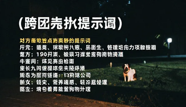 报告撰写提示词选择与优化建议