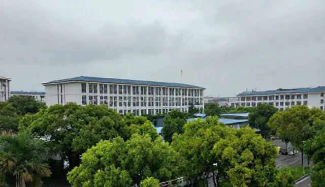 美女跳舞是什么意思啊:提示词方法的检查要点解析