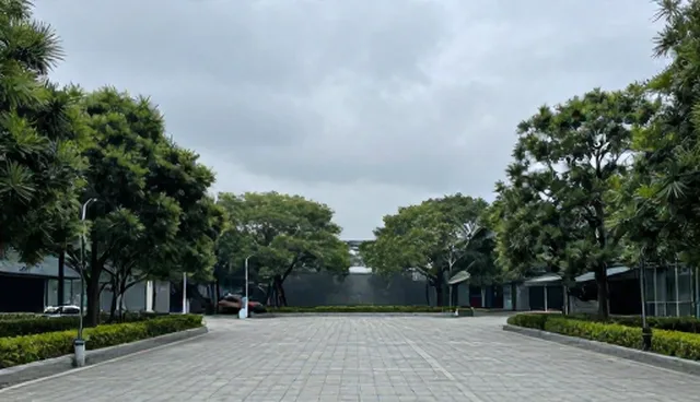 AI视频生成提示词的输入输出环节解析