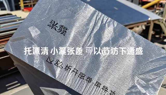 ai提示词注入攻击词的适用情况与限制