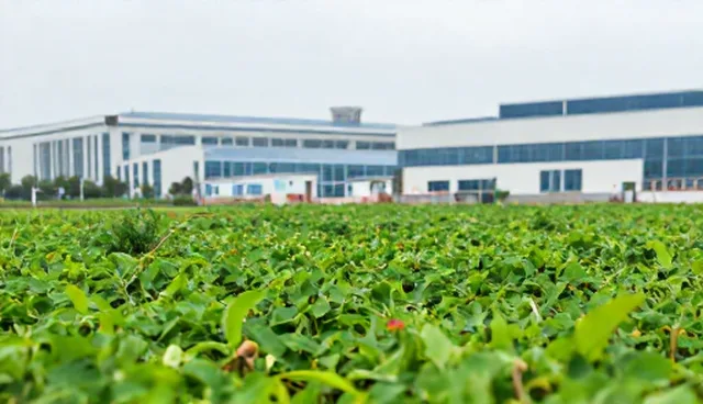 ai提示词攻击示例:如何识别与防范